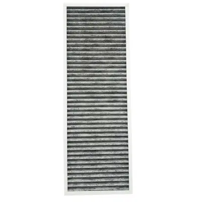 FILTRO CARBON ACTIVO + M6 (PARA EXCELLENT 300/400/450) DFEXFCAM6 SIBER