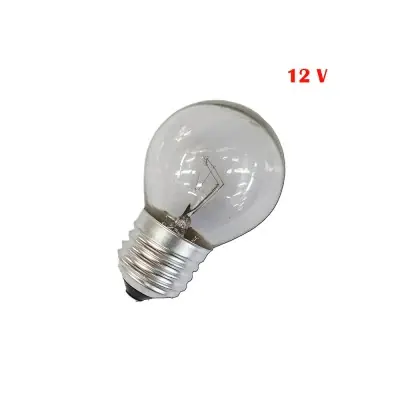 Bombilla incandescente esferica clara 60 w e27 12v