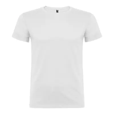 Camiseta beagle blanca t.s