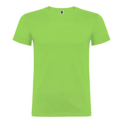 Camiseta beagle verde oasis t.m