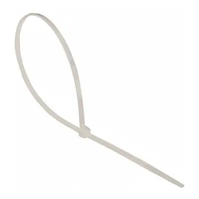 Brida nylon 2,5 x 100 mm natural, 100 uds