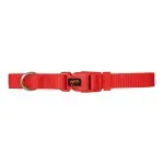 Collar basic rojo 10 mm x 20-30 cm