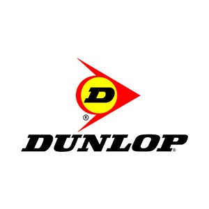 Dunlop Bombilla Coche 12V H7 55W Transparente
